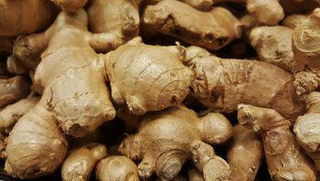 Ginger oil extract