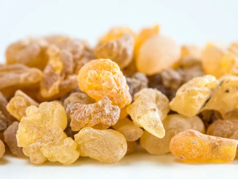 Boswellia extract