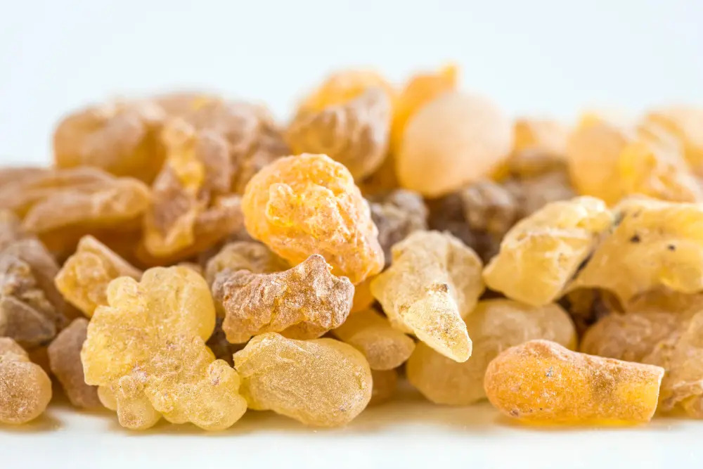 Boswellia extract