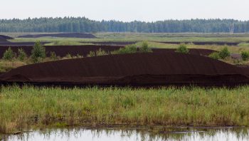 Peat Extract